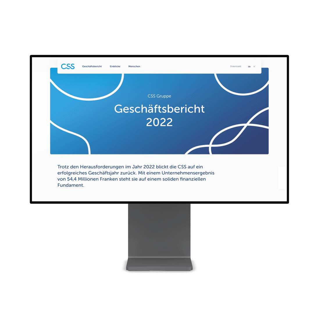 Screenshot des CSS Online Reports 2022 auf einem Bildschirm.